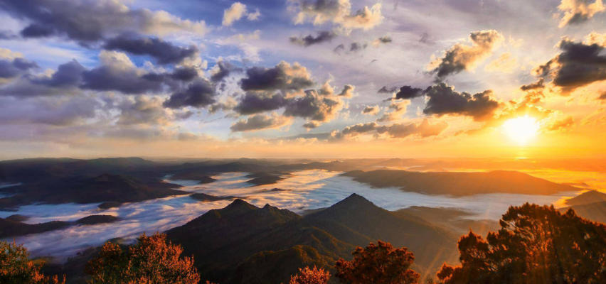 广州朋有商标代理有限公司轮播图4