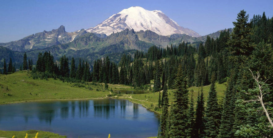 广州朋有商标代理有限公司轮播图1